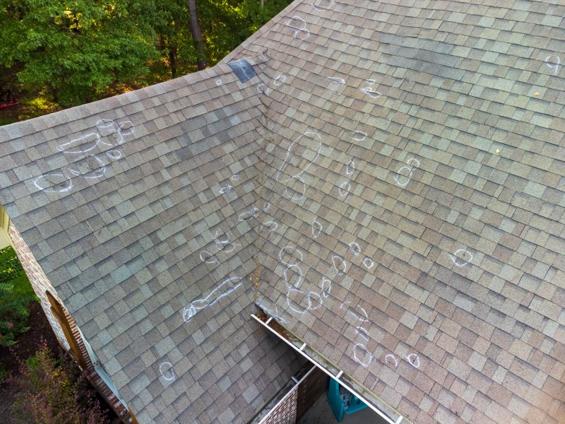 Professional Roof Inspection